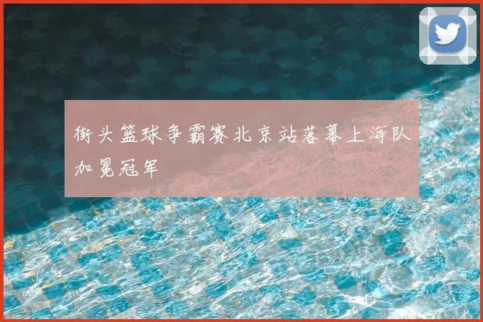 街头篮球争霸赛北京站落幕上海队加冕冠军