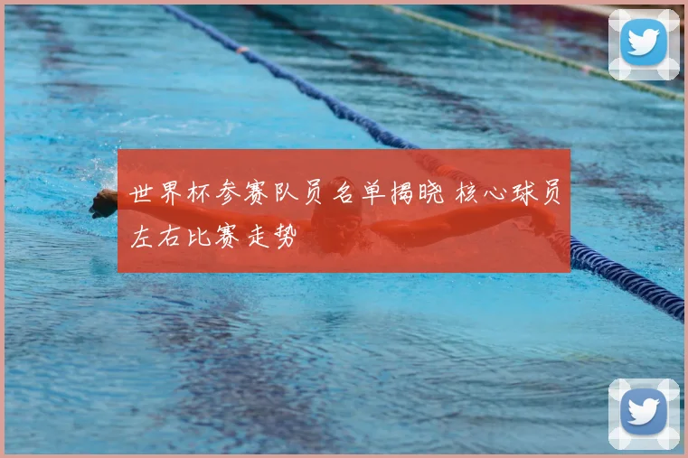 世界杯参赛队员名单揭晓 核心球员左右比赛走势