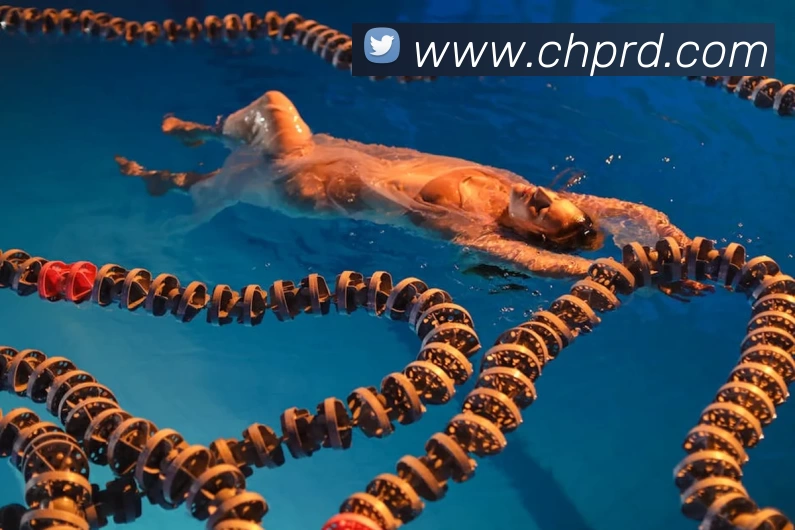 EMC易倍(中国)官方网站 - 专业体育文旅服务商APP 体育赛事宣传图